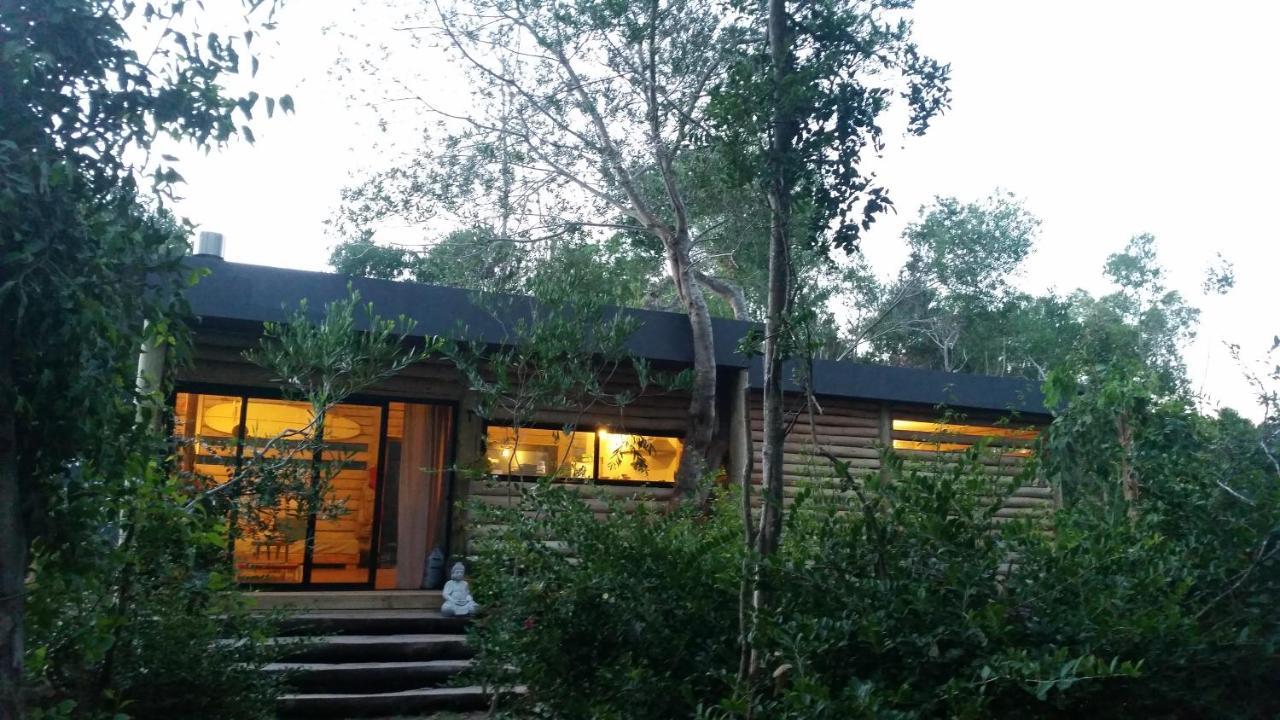 Chalet Los Troncos Sauce de Portezuelo Exterior foto